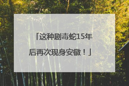 这种剧毒蛇15年后再次现身安徽！