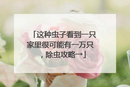这种虫子看到一只家里很可能有一万只，除虫攻略→
