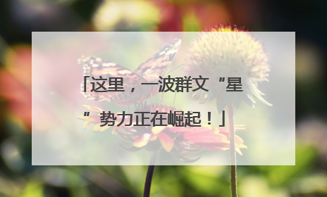这里，一波群文“星”势力正在崛起！