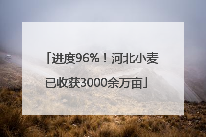 进度96%！河北小麦已收获3000余万亩