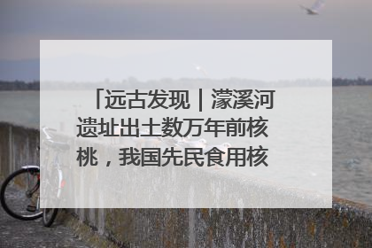 远古发现｜濛溪河遗址出土数万年前核桃，我国先民食用核桃历史大幅提前