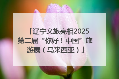 辽宁文旅亮相2025第二届“你好！中国”旅游展（马来西亚）