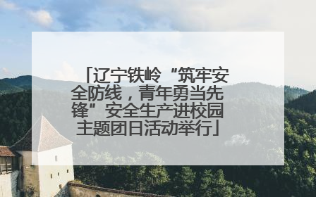 辽宁铁岭“筑牢安全防线，青年勇当先锋”安全生产进校园主题团日活动举行