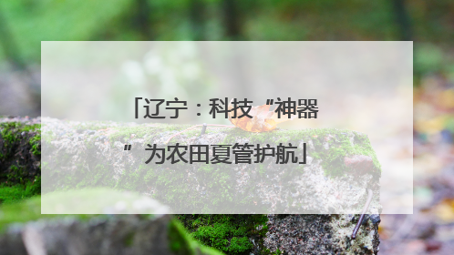 辽宁：科技“神器”为农田夏管护航