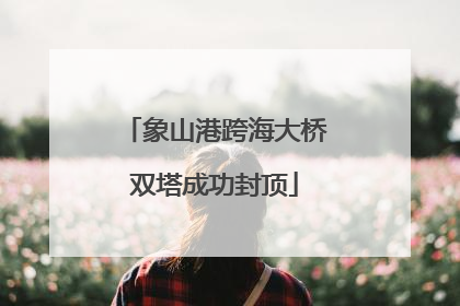 象山港跨海大桥双塔成功封顶