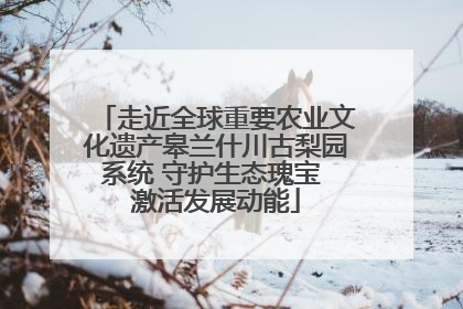 走近全球重要农业文化遗产皋兰什川古梨园系统 守护生态瑰宝 激活发展动能