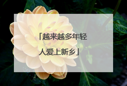 越来越多年轻人爱上新乡