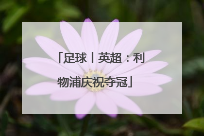 足球丨英超：利物浦庆祝夺冠