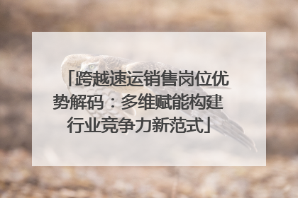 跨越速运销售岗位优势解码：多维赋能构建行业竞争力新范式