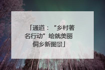 通道：“乡村著名行动”绘就美丽侗乡新图景