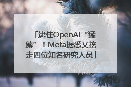 逮住OpenAI“猛薅”！Meta据悉又挖走四位知名研究人员