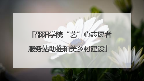 邵阳学院“艺”心志愿者服务站助推和美乡村建设