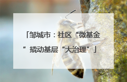 邹城市：社区“微基金”撬动基层“大治理”