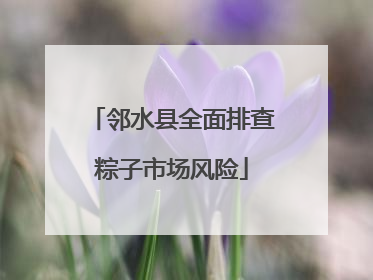 邻水县全面排查粽子市场风险