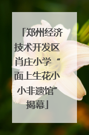 郑州经济技术开发区肖庄小学“面上生花小小非遗馆”揭幕