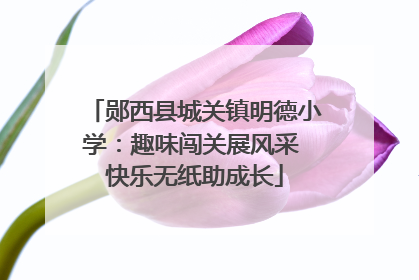 郧西县城关镇明德小学：趣味闯关展风采 快乐无纸助成长