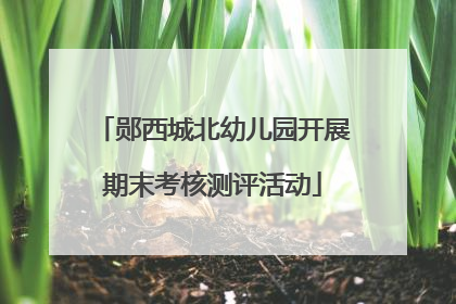郧西城北幼儿园开展期末考核测评活动