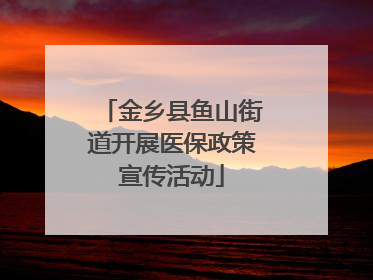 金乡县鱼山街道开展医保政策宣传活动