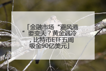 金融市场“避风港”要变天？黄金遇冷，比特币ETF五周吸金90亿美元