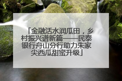 金融活水润瓜田，乡村振兴谱新篇——民泰银行舟山分行助力朱家尖西瓜甜蜜升级