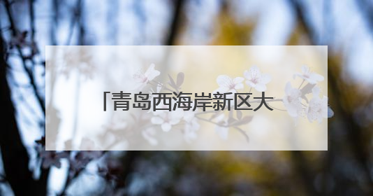 青岛西海岸新区大场镇开展“国际禁毒日”集中宣传活动
