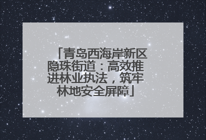 青岛西海岸新区隐珠街道：高效推进林业执法，筑牢林地安全屏障