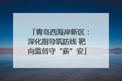 青岛西海岸新区：深化指导筑防线 靶向监督守“薪”安