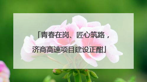 青春在岗、匠心筑路，济商高速项目建设正酣