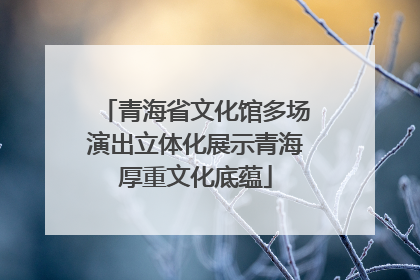 青海省文化馆多场演出立体化展示青海厚重文化底蕴