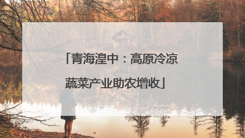 青海湟中：高原冷凉蔬菜产业助农增收