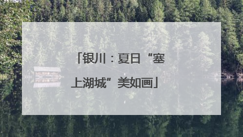 银川：夏日“塞上湖城”美如画