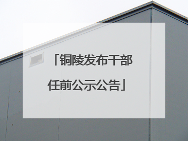 铜陵发布干部任前公示公告