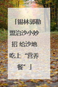 锡林郭勒盟治沙小妙招 给沙地吃上“营养餐”