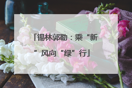 锡林郭勒：乘“新”风向“绿”行