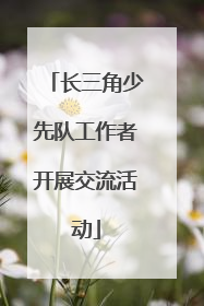 长三角少先队工作者开展交流活动
