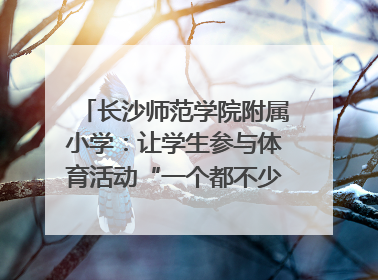 长沙师范学院附属小学：让学生参与体育活动“一个都不少”｜“文明创建耀三湘”专栏