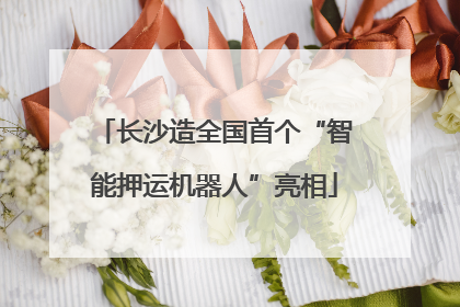 长沙造全国首个“智能押运机器人”亮相