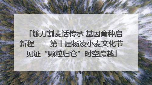 镰刀割麦话传承 基因育种启新程——第十届杨凌小麦文化节见证“颗粒归仓”时空跨越