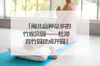 闽北品种最多的竹观赏园——杜潭百竹园建成开园