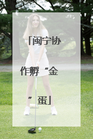 闽宁协作孵“金”蛋