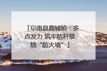 阜南县鹿城镇：多点发力 筑牢秸秆禁烧“防火墙”
