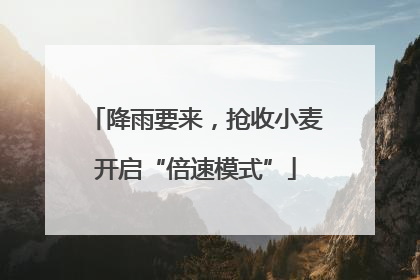 降雨要来，抢收小麦开启“倍速模式”
