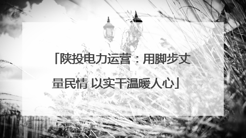 陕投电力运营：用脚步丈量民情 以实干温暖人心