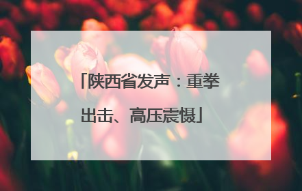 陕西省发声：重拳出击、高压震慑