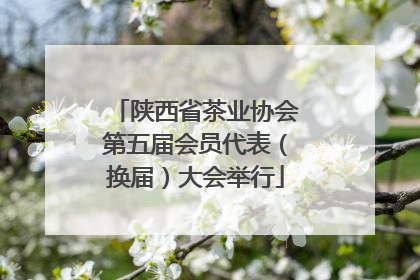 陕西省茶业协会第五届会员代表（换届）大会举行