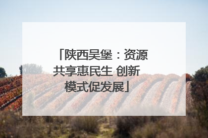 陕西吴堡：资源共享惠民生 创新模式促发展