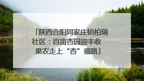 陕西合阳同家庄镇柏瑞社区：百亩杏园迎丰收 果农走上“杏”福路