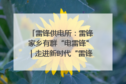 雷锋供电所：雷锋家乡有群“电雷锋”｜走进新时代“雷锋传人 长沙榜样”