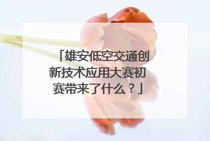 雄安低空交通创新技术应用大赛初赛带来了什么？