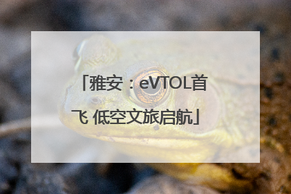 雅安：eVTOL首飞 低空文旅启航